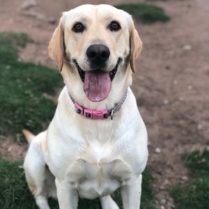 Meet your Posher, Natalia